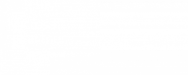 Microsoft Partner